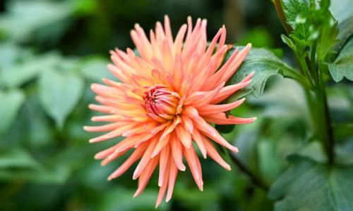 scribbling-geek-PoTwz_lVG0I-unsplash scribbling-geek-PoTwz_lVG0I-unsplash