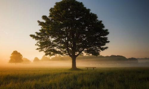 simon-wilkes-S297j2CsdlM-unsplash (1) simon-wilkes-S297j2CsdlM-unsplash (1)