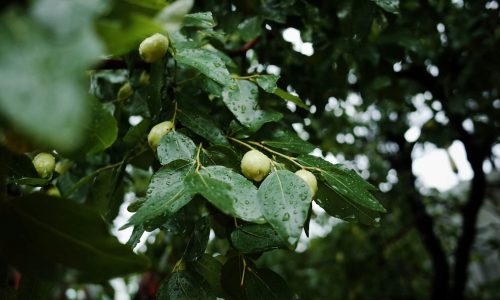 soyoung-han--3UcEZnJC-U-unsplash (1) soyoung-han--3UcEZnJC-U-unsplash (1)