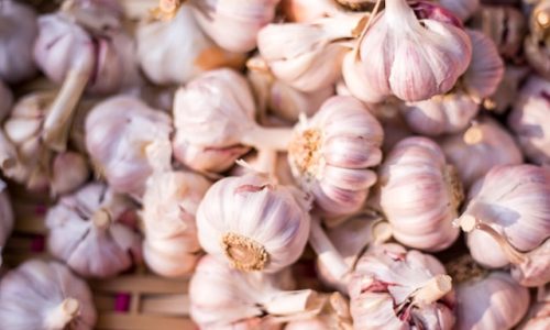 team-voyas-vIiye0QDryo-unsplash team-voyas-vIiye0QDryo-unsplash