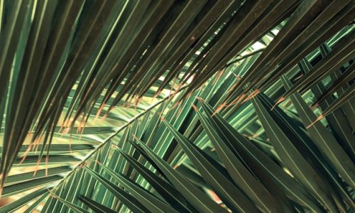 valentin-salja-VMroCCpP648-unsplash valentin-salja-VMroCCpP648-unsplash