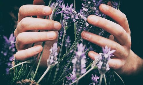 vero-manrique-9OflqNWhcrE-unsplash vero-manrique-9OflqNWhcrE-unsplash