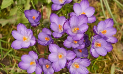 wolfgang-hasselmann-hFDPfVVFZT4-unsplash (1) wolfgang-hasselmann-hFDPfVVFZT4-unsplash (1)