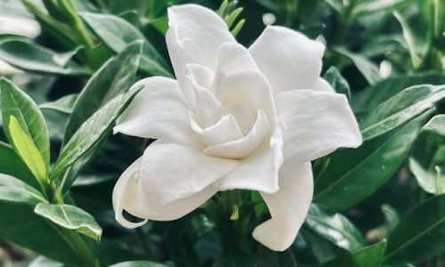 xu-jiebing-P87fZdT65Dg-unsplash xu-jiebing-P87fZdT65Dg-unsplash