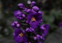 yan-ots-FUS5TwbRg-Q-unsplash (1)