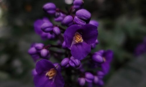 yan-ots-FUS5TwbRg-Q-unsplash (1) yan-ots-FUS5TwbRg-Q-unsplash (1)