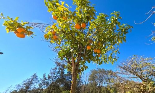 anouaro-photography-NzwMc-UmsyE-unsplash (1)