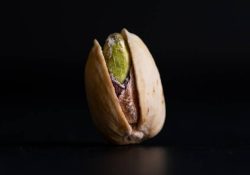 blackieshoot-B-qYvp3u1Ak-unsplash (1)