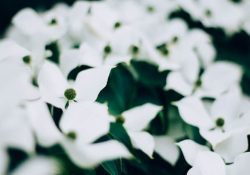 elijah-hail-xpKPxyGhhT8-unsplash (1)