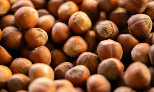 engin-akyurt-SCpXCeUvgdY-unsplash (1)