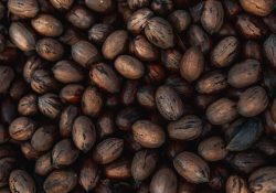 or-hakim-QdBZEmNU6No-unsplash (1)