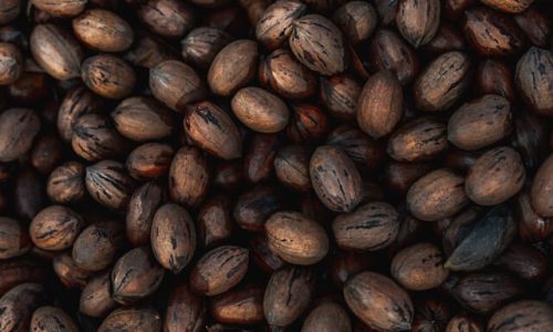 or-hakim-QdBZEmNU6No-unsplash (1)