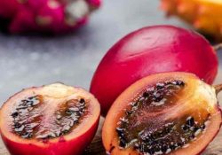 tamarillo-tree-seeds-8 (1)