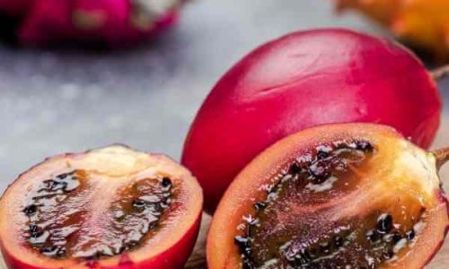 tamarillo-tree-seeds-8 (1)