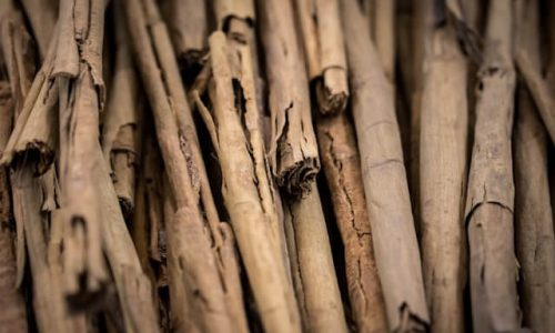 uriel-soberanes-UNIAiCiGm0A-unsplash (1) uriel-soberanes-UNIAiCiGm0A-unsplash (1)