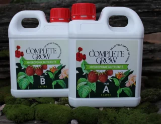 best fertilizer for tobacco Best Fertilizer for Tobacco Plants | Healthy Leaf Growth Guide